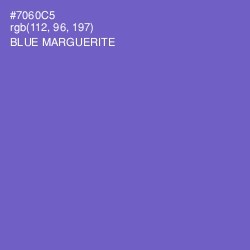 #7060C5 - Blue Marguerite Color Image