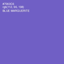 #7060C6 - Blue Marguerite Color Image