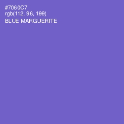 #7060C7 - Blue Marguerite Color Image