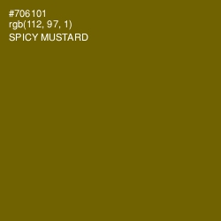 #706101 - Spicy Mustard Color Image