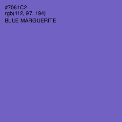 #7061C2 - Blue Marguerite Color Image