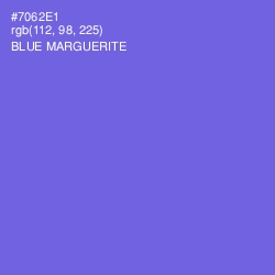 #7062E1 - Blue Marguerite Color Image