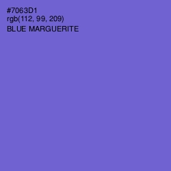 #7063D1 - Blue Marguerite Color Image