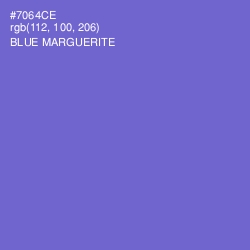 #7064CE - Blue Marguerite Color Image