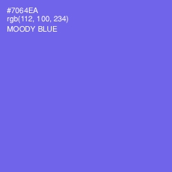 #7064EA - Moody Blue Color Image