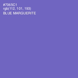 #7065C1 - Blue Marguerite Color Image