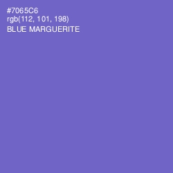 #7065C6 - Blue Marguerite Color Image