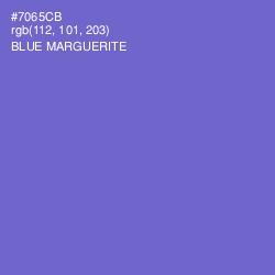 #7065CB - Blue Marguerite Color Image