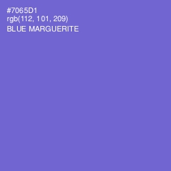 #7065D1 - Blue Marguerite Color Image