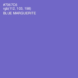 #7067C6 - Blue Marguerite Color Image