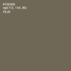 #706856 - Peat Color Image