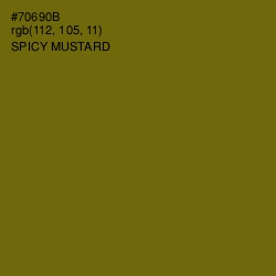 #70690B - Spicy Mustard Color Image