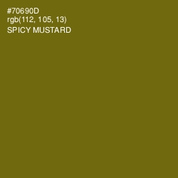 #70690D - Spicy Mustard Color Image