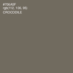 #706A5F - Crocodile Color Image