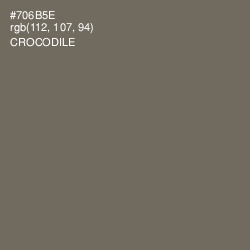 #706B5E - Crocodile Color Image