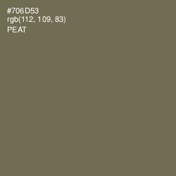 #706D53 - Peat Color Image