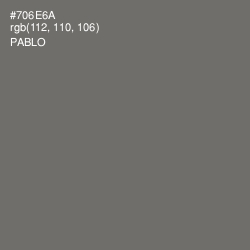 #706E6A - Pablo Color Image