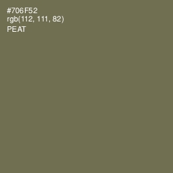 #706F52 - Peat Color Image