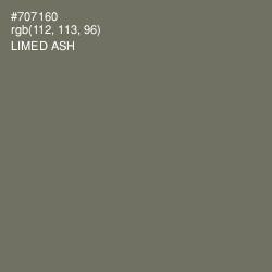 #707160 - Limed Ash Color Image