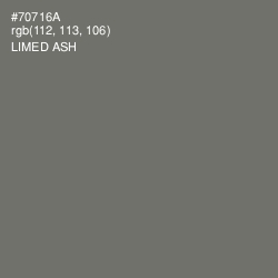 #70716A - Limed Ash Color Image