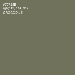 #70725B - Crocodile Color Image