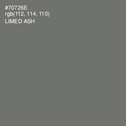 #70726E - Limed Ash Color Image