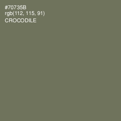 #70735B - Crocodile Color Image