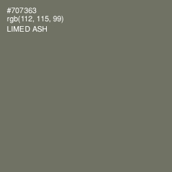 #707363 - Limed Ash Color Image