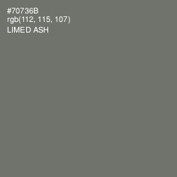 #70736B - Limed Ash Color Image