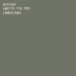 #707467 - Limed Ash Color Image