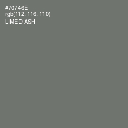 #70746E - Limed Ash Color Image