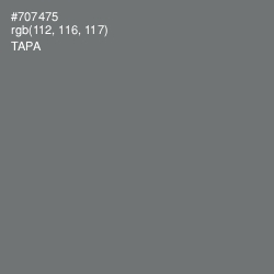 #707475 - Tapa Color Image