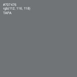 #707476 - Tapa Color Image