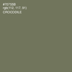 #70755B - Crocodile Color Image