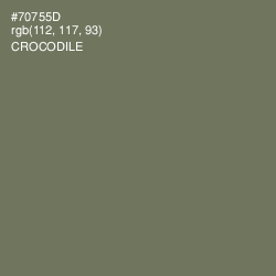 #70755D - Crocodile Color Image