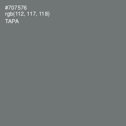 #707576 - Tapa Color Image