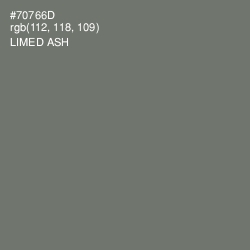 #70766D - Limed Ash Color Image