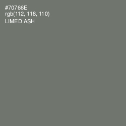 #70766E - Limed Ash Color Image