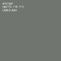 #70766F - Limed Ash Color Image