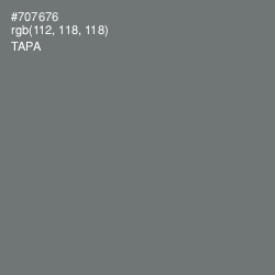 #707676 - Tapa Color Image