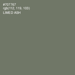 #707767 - Limed Ash Color Image
