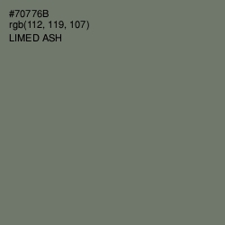 #70776B - Limed Ash Color Image