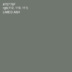 #70776F - Limed Ash Color Image