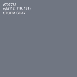 #707783 - Storm Gray Color Image