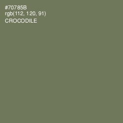 #70785B - Crocodile Color Image