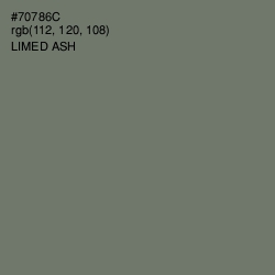 #70786C - Limed Ash Color Image