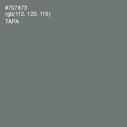 #707873 - Tapa Color Image