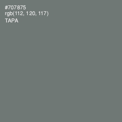 #707875 - Tapa Color Image