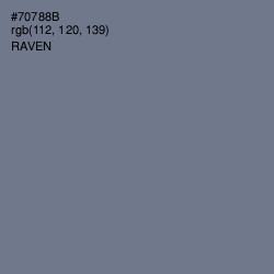 #70788B - Raven Color Image