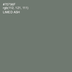 #70796F - Limed Ash Color Image